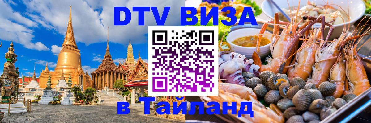 Оформление DTV визы под ключ: стоимость и тарифы, только загранпаспорт - Кишинёв  05.10.2025 